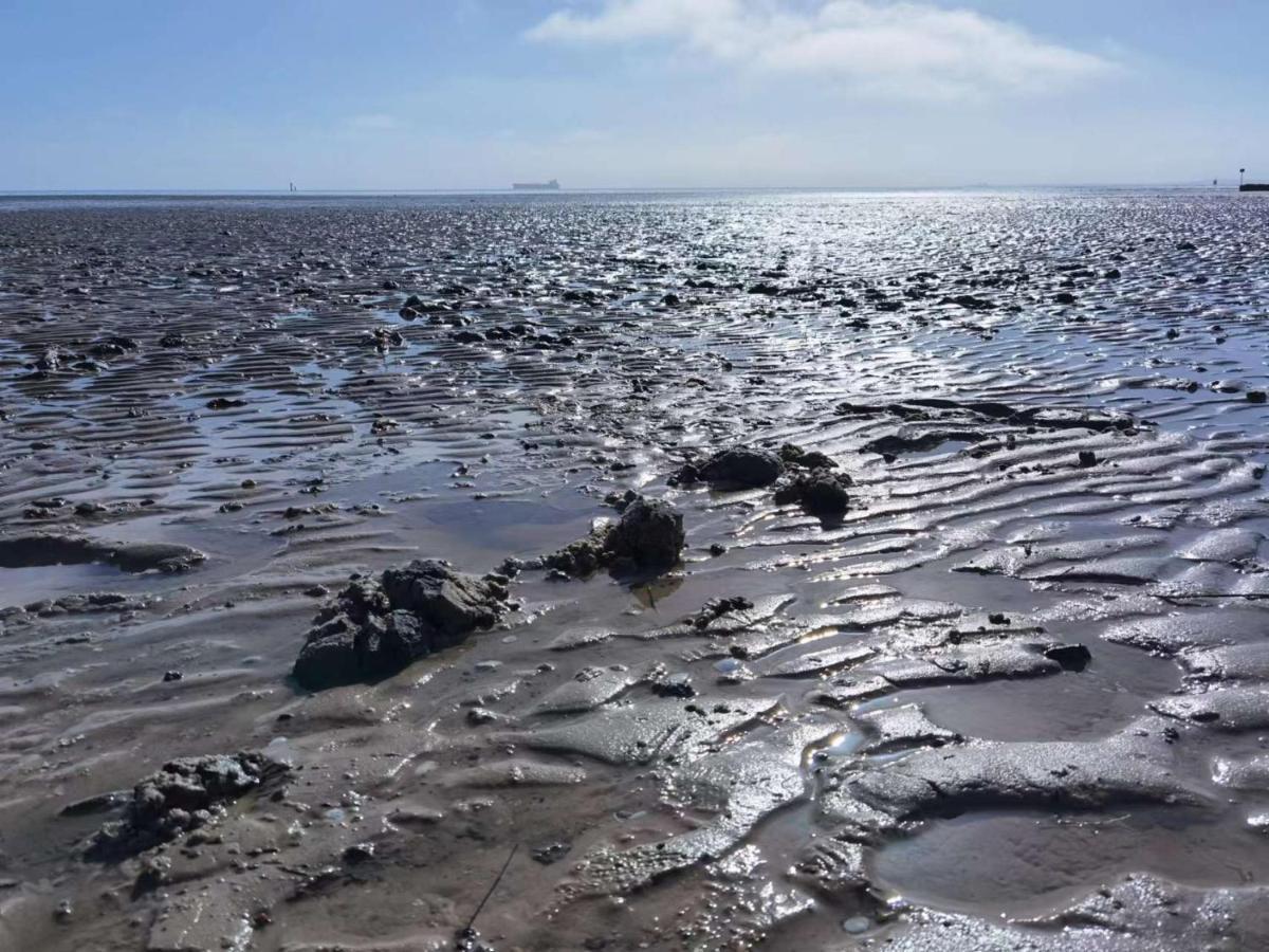 Schaake Schillig-Strandnahe Wohlfuehloase Mit Modernem Flair Und Kostenlosem Parken Ngoại thất bức ảnh